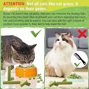 Cat Grass Teething Stick Set Chicken Flavor 6Pcs (30gm)